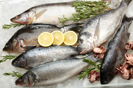 Fresh fish on iceの写真素材