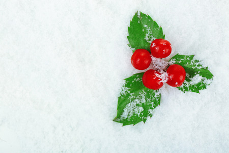 European Holly (Ilex aquifolium) with berries on snow, close upの写真素材