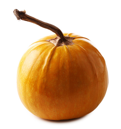 Ripe pumpkin isolated on whiteの写真素材