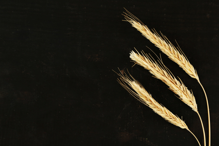 Spikelets of wheat on black wooden backgroundの写真素材