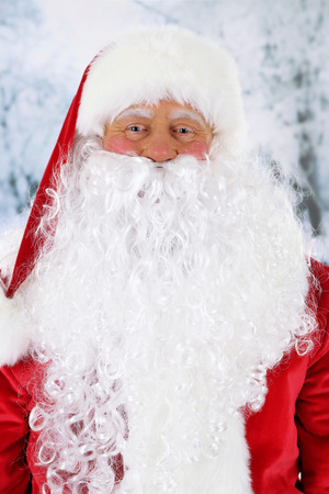 Santa Claus on light backgroundの写真素材