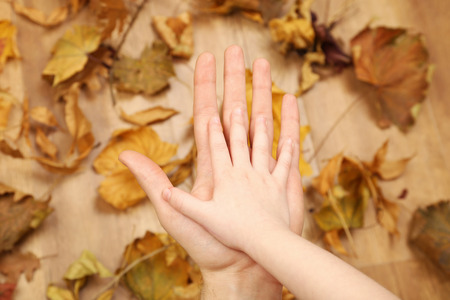 Child and father hands on wooden backgroundの写真素材