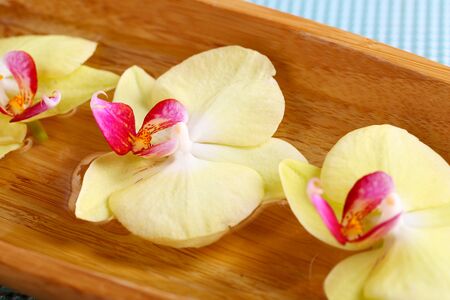 Beautiful orchid flowers in water close-upの写真素材