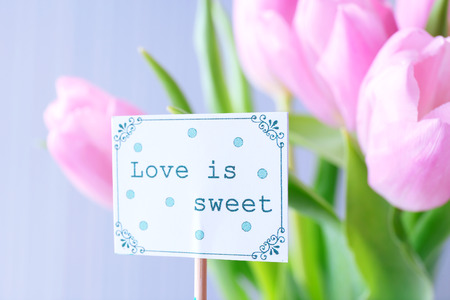 Beautiful pink tulips with tag on light background