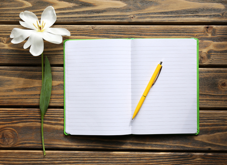Notebook with pen and white tulip on wooden backgroundの写真素材