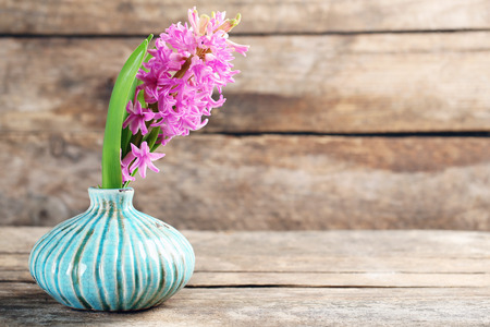 Beautiful hyacinth flower in vase on wooden backgroundの写真素材