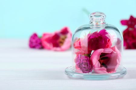 Beautiful composition with flowers on turquoise backgroundの写真素材