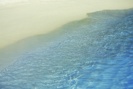 Beautiful view of coast with exotic trees in resortの写真素材