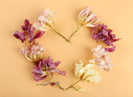 Dried flowers in shape of heart on color backgroundの写真素材