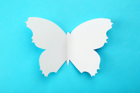 Cutout paper butterfly as greeting cardの写真素材