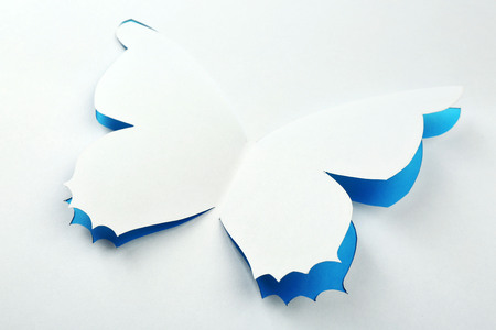 Cutout paper butterfly as greeting cardの写真素材