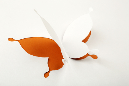 Cutout paper butterfly as greeting cardの写真素材