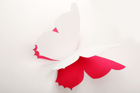 Cutout paper butterfly as greeting cardの写真素材