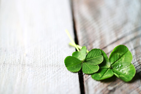 Green clover leaves on wooden background