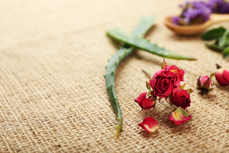 Green herbs and leaves on sackcloth, closeupの写真素材