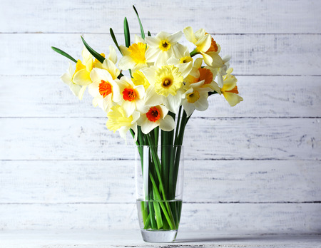 Fresh narcissus flowers on wooden backgroundの写真素材