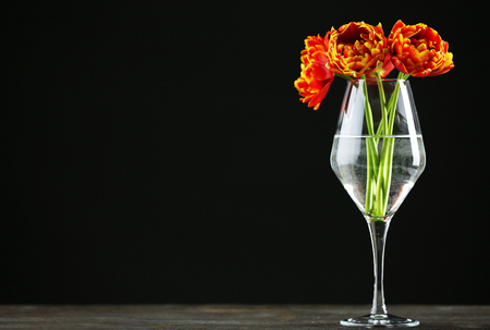 Beautiful orange tulips in glass vase on black backgroundの写真素材
