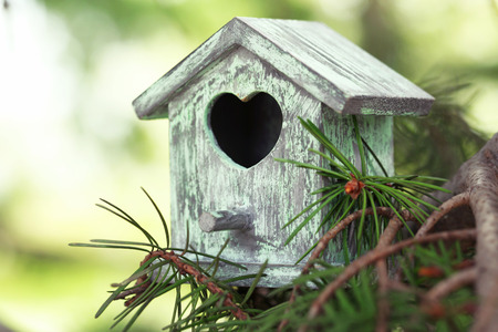 Decorative nesting box on branch, on green backgroundの写真素材