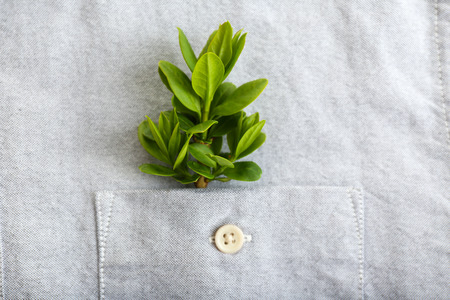 Twig with fresh leaves in shirt pocket, close upの写真素材