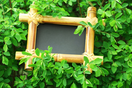 Photo frame over green bush backgroundの写真素材