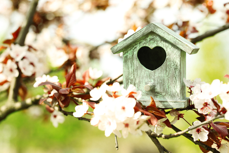 Decorative nesting box on bright backgroundの写真素材