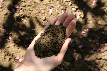 Handful of black soil above groundの写真素材