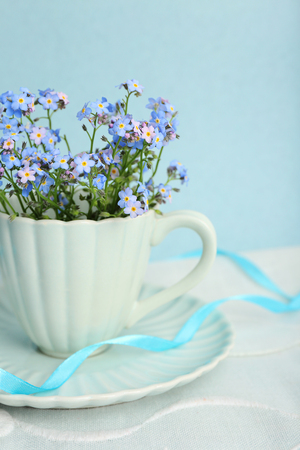 Forget-me-nots flowers in cup, on blue backgroundの写真素材