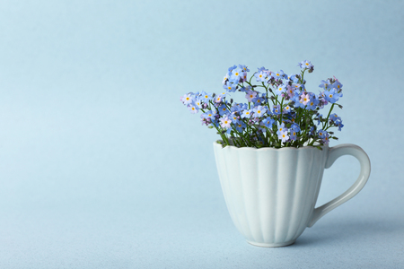 Forget-me-nots flowers in cup, on blue backgroundの写真素材