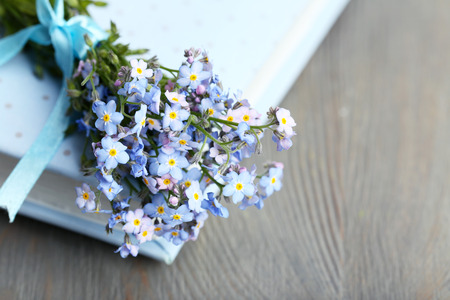 Forget-me-nots flowers on book, on wooden backgroundの写真素材
