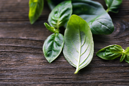 Green fresh basil on wooden backgroundの写真素材