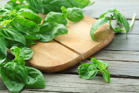 Green fresh basil on wooden backgroundの写真素材