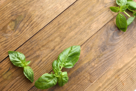Green fresh basil on wooden backgroundの写真素材