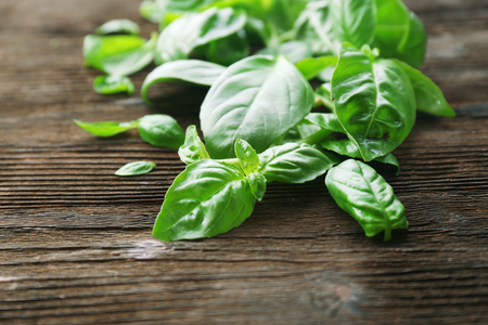 Green fresh basil on wooden backgroundの写真素材
