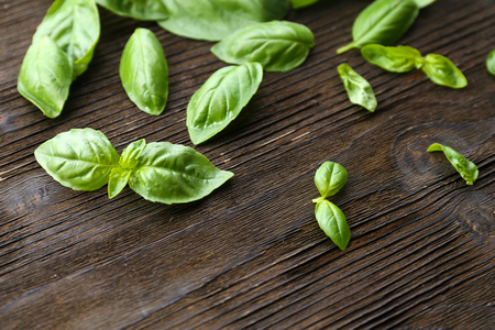 Green fresh basil on wooden backgroundの写真素材
