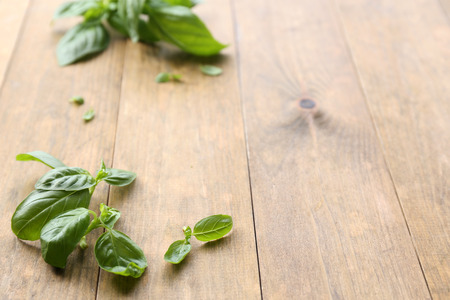 Green fresh basil on wooden backgroundの写真素材