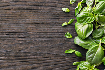 Green fresh basil on wooden backgroundの写真素材