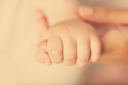 Adult and baby hands, closeupの写真素材