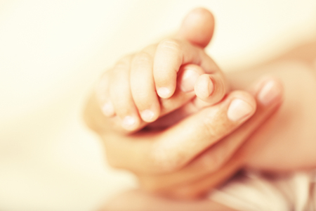 Adult and baby hands, closeupの写真素材