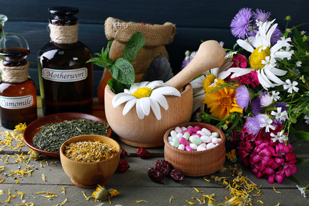 Herbs, berries, flowers and pills on color  wooden table backgroundの写真素材