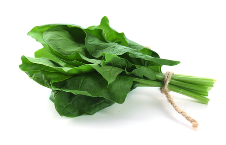 Fresh spinach leaves isolated on whiteの写真素材
