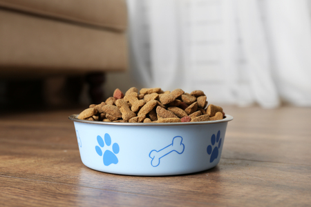 Dog food in bowl on floor at homeの写真素材