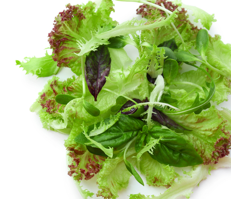 Fresh mixed green salad isolated on whiteの写真素材