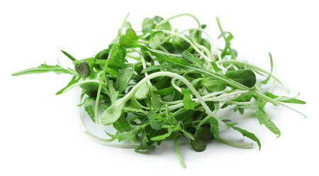 Fresh mixed green salad isolated on whiteの写真素材
