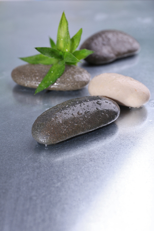 Spa stones with green leavesの写真素材