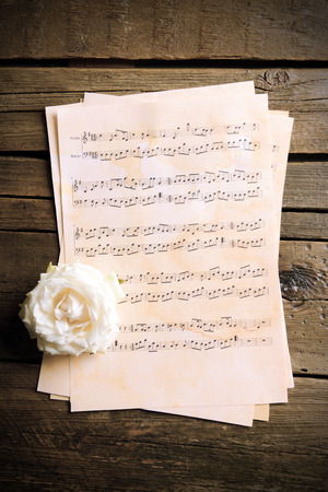 Beautiful rose on music sheets on wooden backgroundの写真素材