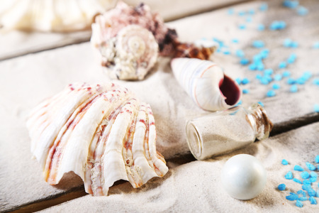 Collection of seashells with sand on wooden surface, closeup