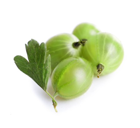 Green gooseberry isolated on whiteの写真素材