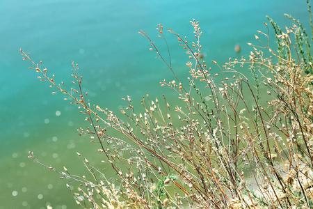 Beautiful country landscape with riverの写真素材