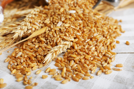 Fresh wheat grains on napkin, closeupの写真素材
