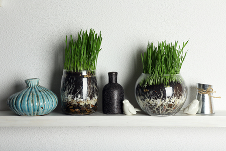 Transparent pots with fresh green grass on shelfの写真素材